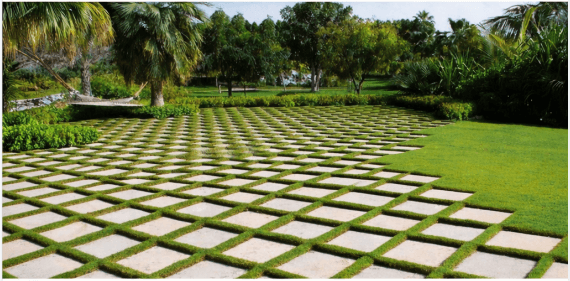 Landscape Development